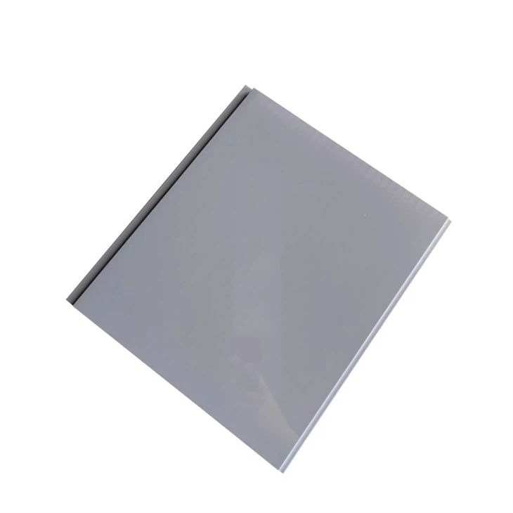 Cheap Black PVC Ceiling Panel